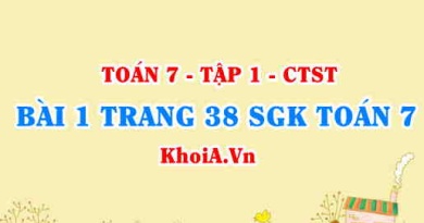 Bài 1 trang 38 SGK Toán 7 chân trời sáng tạo tập 1